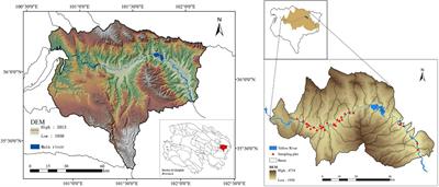 Composition and Diversity of Soil Microbial Community Associated With Land Use Types in the Agro–Pastoral Area in the Upper Yellow River Basin